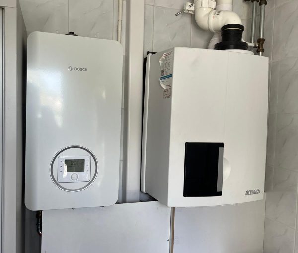 d9e7a115-f05a-4d21-b4c5-73f8b957f0a6